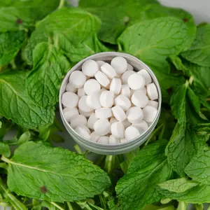 |Mint Toothpaste Tablets