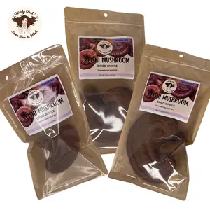 Witchy Pooh's Reishi Red Mushrooms - Large Whole Dried Mushrooms, Caffeine Free