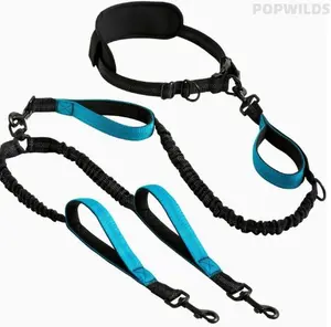 New practical pet walking gear, high elastic & explosion-proof dual-head dog leash set. Hands-free design for easy use, sturdy and reliable. Perfect for walking two pets at once, durable accessory for daily outdoor trips with your lovely dogs.