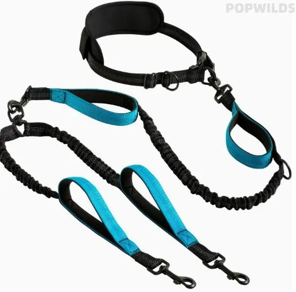 New practical pet walking gear, high elastic & explosion-proof dual-head dog leash set. Hands-free design for easy use, sturdy and reliable. Perfect for walking two pets at once, durable accessory for daily outdoor trips with your lovely dogs.