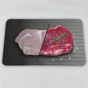 9 Inch Aluminium Rapid Defrost Plate, Simple Durable Food Defrosting Tray for Frozen Meat, Defrost Board for Steak, Pork, Beef, Chicken, Fish, Kitchen Meat & Poultry Utensils, Kitchen Accessories, Kitchen Gadgets, Bbq Grilling Accessories, Kitchenware