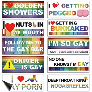10 Pcs Bumper Decals Funny LGBT Stickers Rainbow Bumper Prank Car Stickers Colorful Car Accessories for Truck Vehicle Luggage Window Refrigerator(Magnetic,Classic Style)
