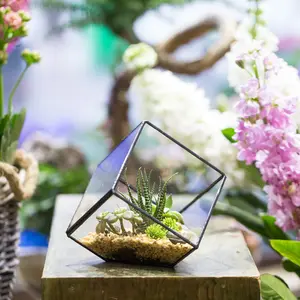 NCYP Small 3.93inches Geometric Open Terrarium, Cube Shape Planter for Succulents, Air Plants, Home Tabletop Decoration, Terrarium Only