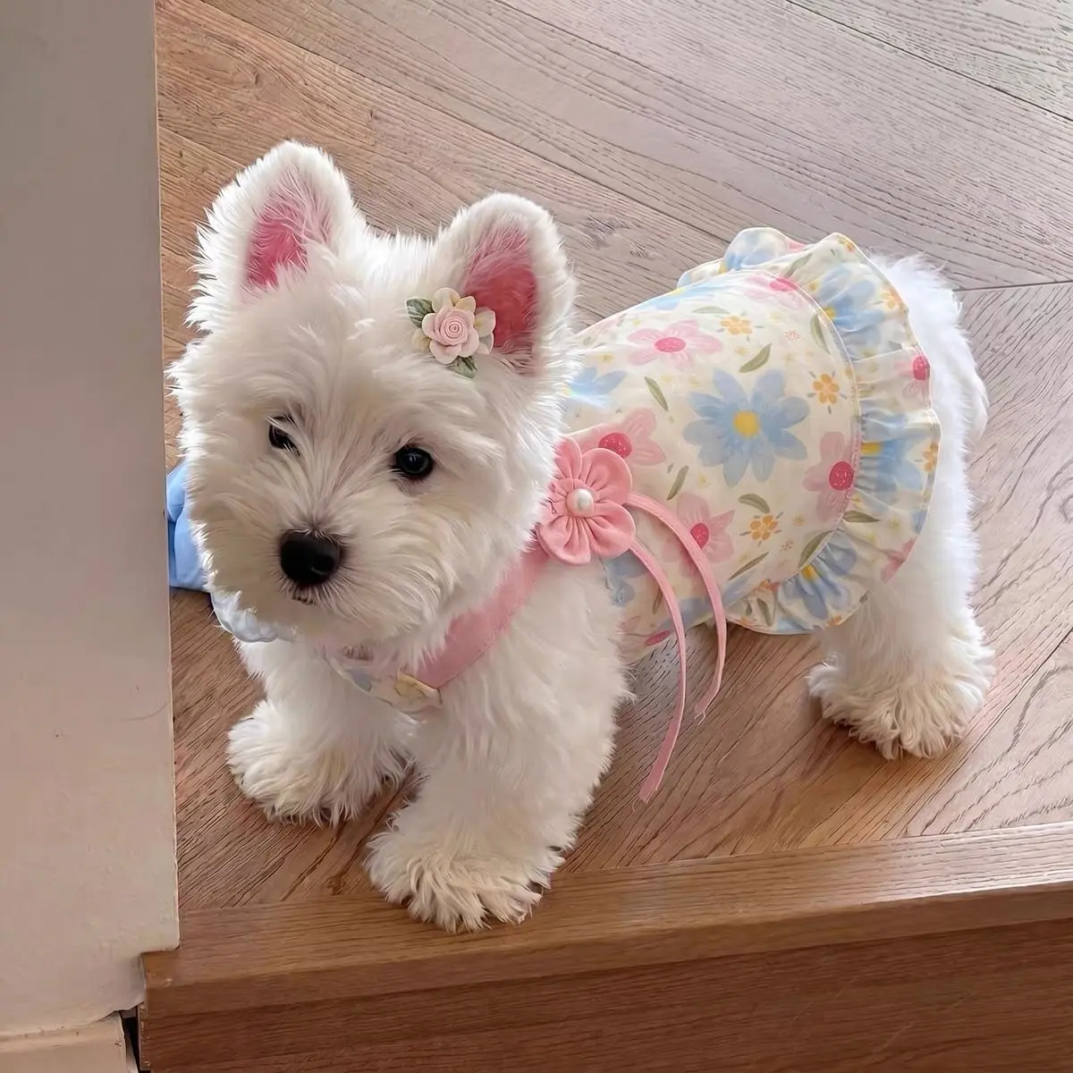 Pet Pastel Floral Camisole Dress - 3D Flower Ruffle Sling, Summer Lightweight Outfit for Small Dogs, Kittens (Maltese, Westie, Yorkie)