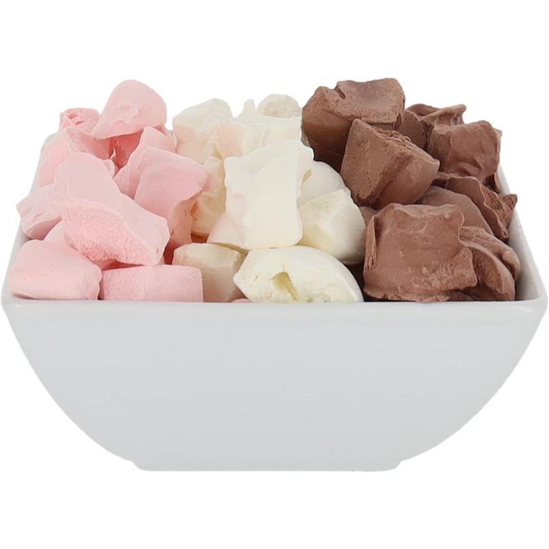 Freeze Dried Ice Cream That Does Not Melt (Bits) Neapolitan