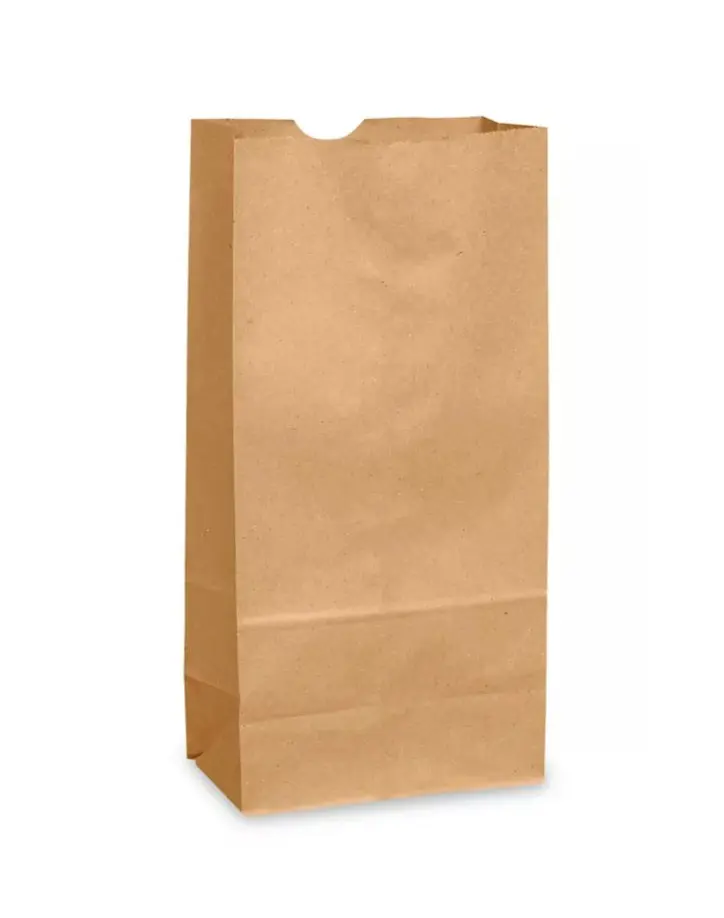 DEMAYA #6 Kraft Cardboard Gift Bags, 500-Count Office Stationery & Wrapping Supplies