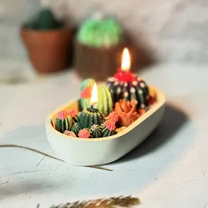 Lumiine Cactus Candle Succulents Soy Candle Gift Soy Wax Candle Unique Gift Succulent Garden Candle Home Decor