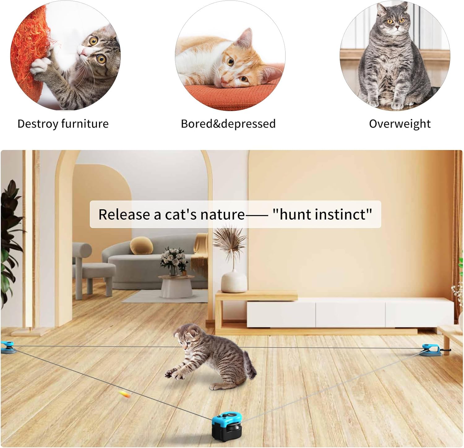 AsFrost Automatic Hands-Free Cat Teaser - Interactive Indoor Cat Toy with Remote/Auto Function, Feather, DIY String & Moving Mouse Hunting Features for Bored Kittens usb-c rechargeable