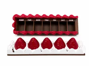 Cake Slice Weekly Pill Organizer 🍰
