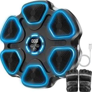 Boxing Machine, Large Size  Punching Machine for Adults , Interactive Boxing Target Wall Mounted with Gloves,  for Men and