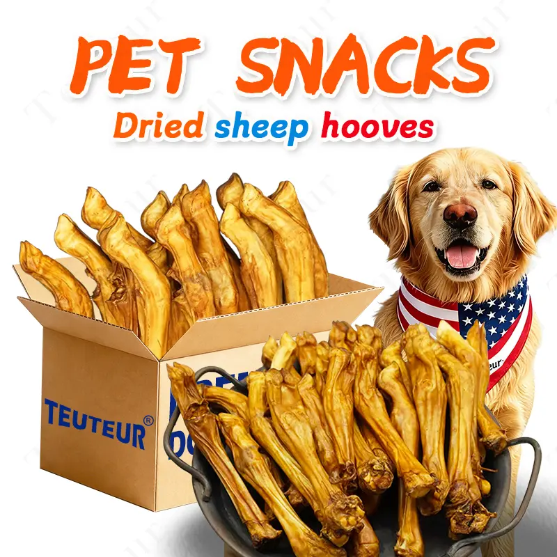 Chew Bones for Aggressive Chewers, Natural Beef Knee Bone  , Long Lasting  Chews, Large Medium Small  Puppy Teething Chew Toys, Durable Tough Chew Snack, Training Reward , Keeps  Busy and Engaged