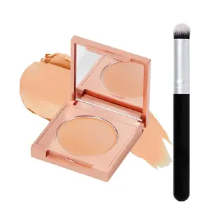 Colored Clay CC Undereye Corrector, Color Corrector for Dark Circles, Redness, Acne, Blemish with Brush, Hydrating Under Eye Concealer to Brighten & Conceal for Women & Men