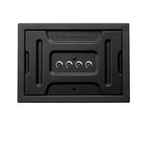 Second Amendment  Safe