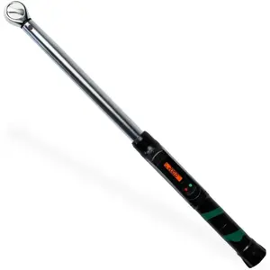 Digital Torque Wrench 1/2" Drive (25-250 ft-lb) - Professional  & Click-Style Torque Tool for Automotive, Mechanic, , &  Maintenance - Precision Calibrated