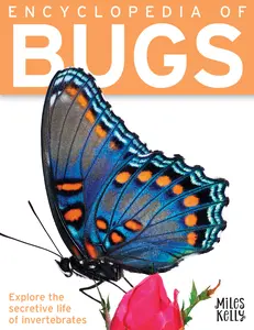 USED-Encyclopedia of Bugs by Miles Kelly (Paperback)