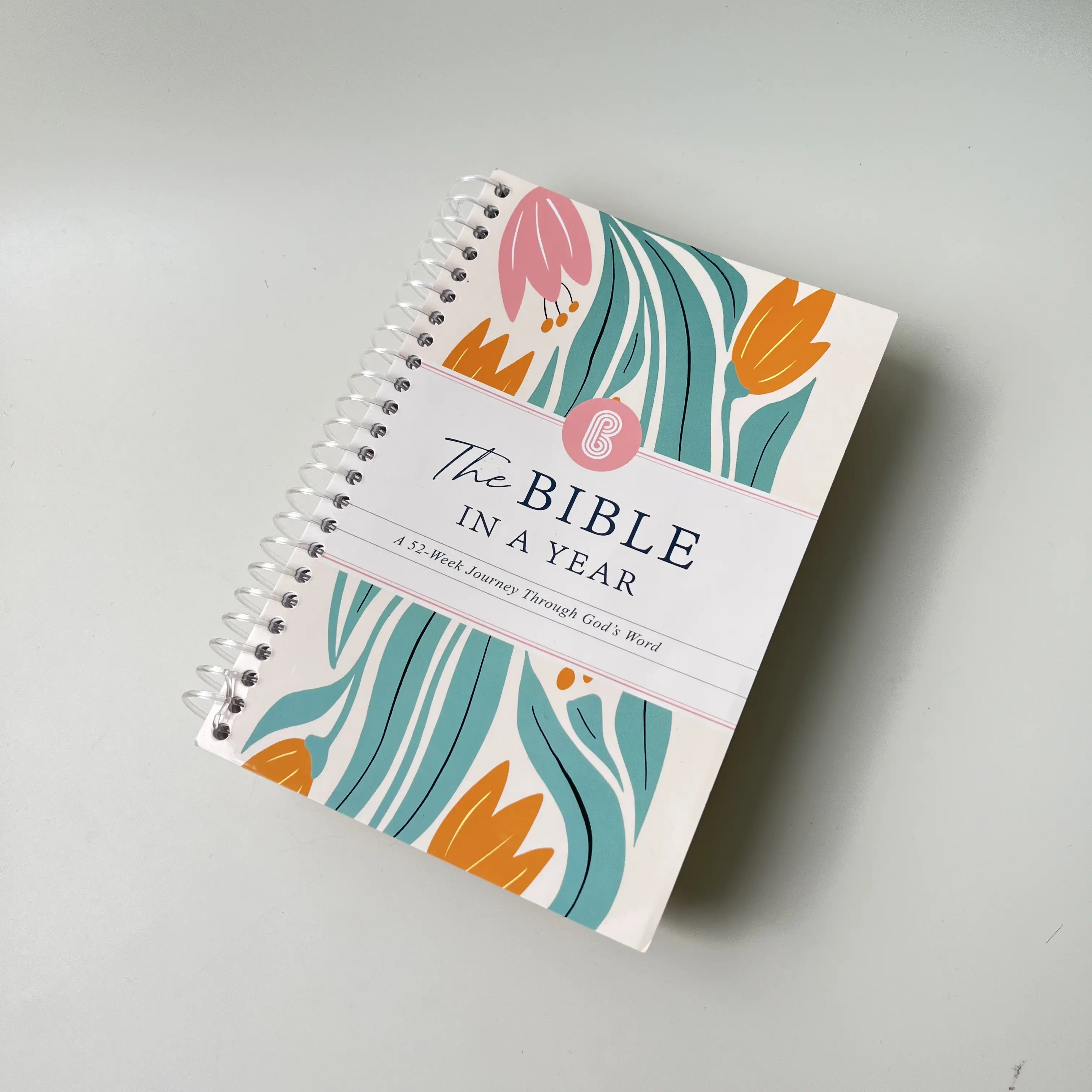 Christian 1-Year Bible Reading Plan Notebook with Daily Entries, Office Stationery for Daily Scripture Reading & Reflection