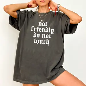 ChicCotton Not Friendly Do Not Touch Comfort Colors Shirt, Anti Social T-shirt, Introvert Graphic Tee, Attitude Clothing, Dark Humor Outfits