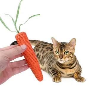 Cat/dog squeaky toys, self-entertaining and boredom-relieving toys for cats, durable and chewable, suitable for teeth grinding and claw sharpening, cat teaser wand, pet supplies for kittens, cat stress relief toys. playful design