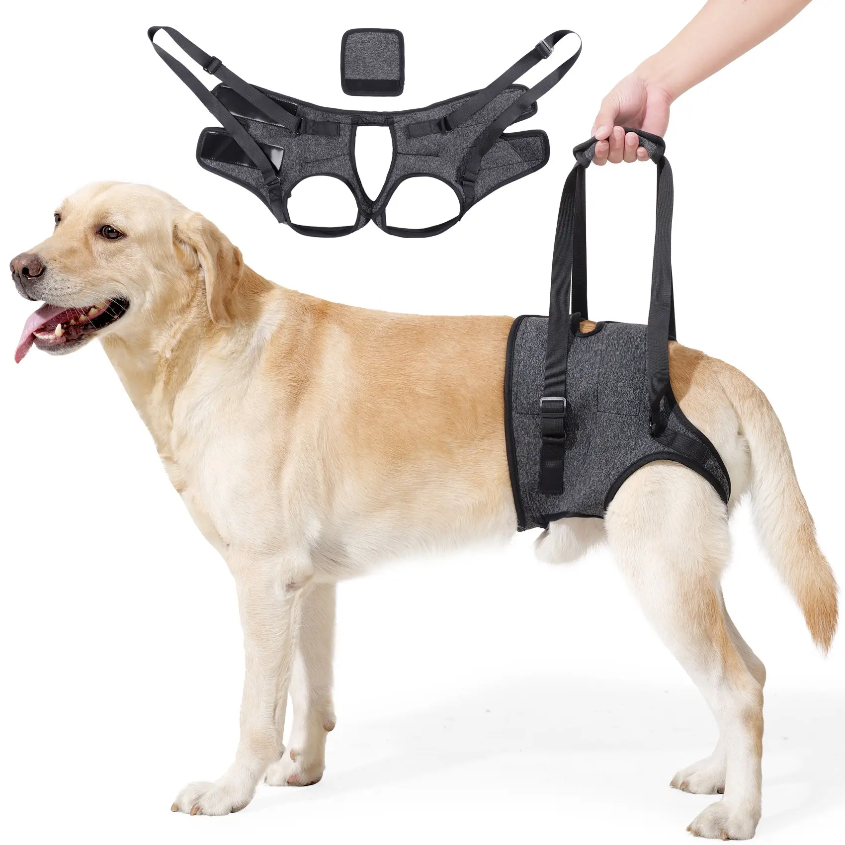 Dog Lift Harness, Dog Sling with Padded, Hind Leg Support to Help Rehabilitate, Helps Senior, Injured, Disabled and After ACL Surgery Dogs