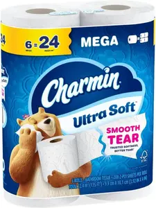 Toilet Paper & Wipes, 6 Mega Rolls Equivalent to 24 Regular Rolls