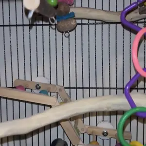 2 Pack Foldable Hardwood Parrot Ladder - 12" Chewable Bird Toy with Food-Grade Dyed Beads, Tri-Section Design & Hand-Twist Nuts for Conures, Cockatiels, Lovebirds (4" Wide) bird supply run water coop swing Chicken Accessories Set Multi-Layer Playstand Gym