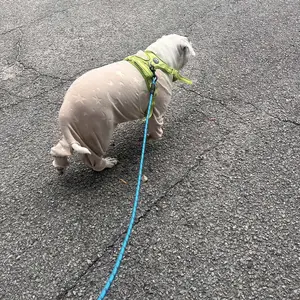 Cute Paw Print Pet Jumpsuit, Soft & Comfortable Pet Clothes for Medium & Large Dogs, Pet Recovery Suit for Labrador, Rottweiler & Beagle