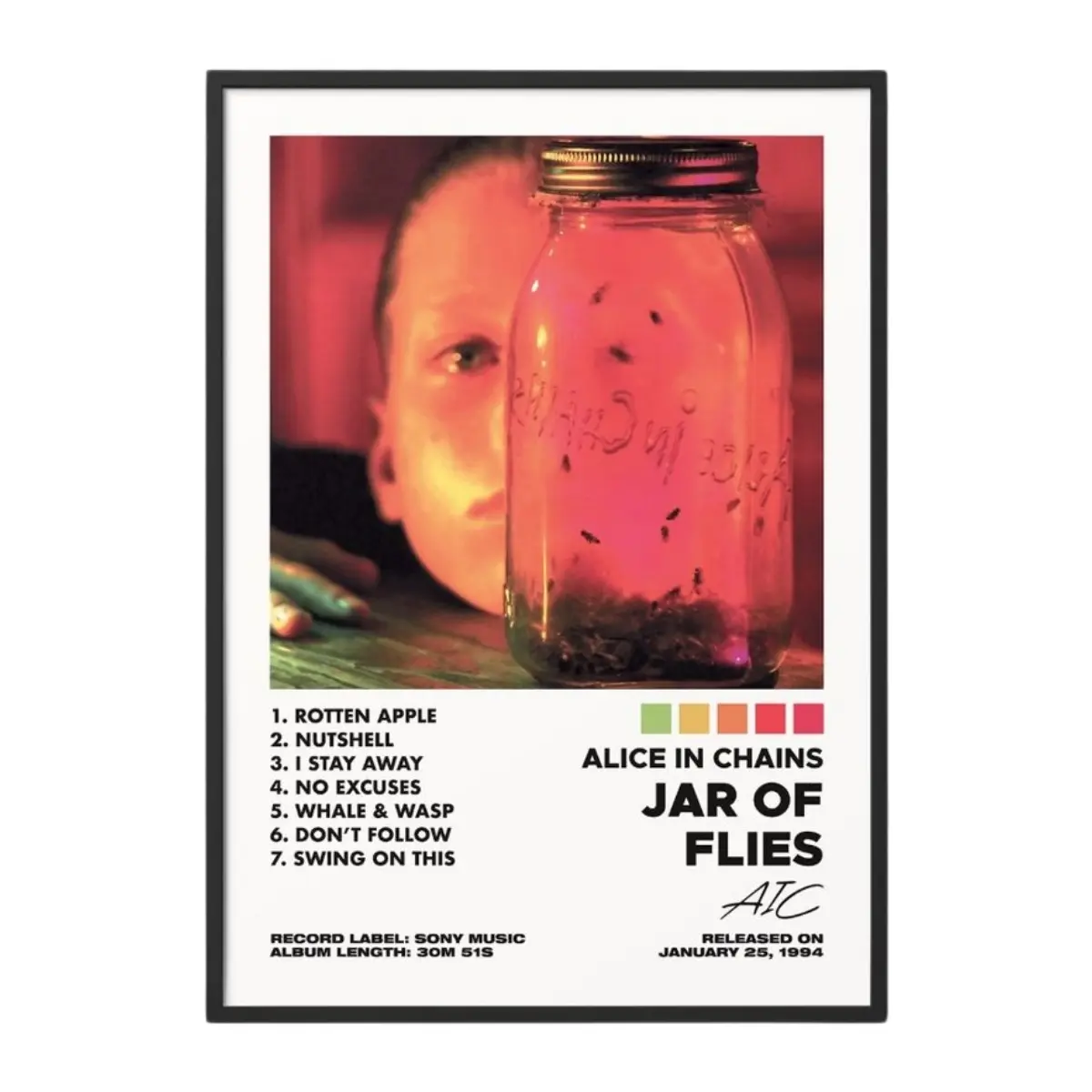 Alice In Chains Jar Of Flies Album Cover Unframed Poster - Waterproof, Long-Lasting Indoor Art Print, Decor Box Included, Artistic Paintings for Living Room Home Decor, Collectible Music Gift