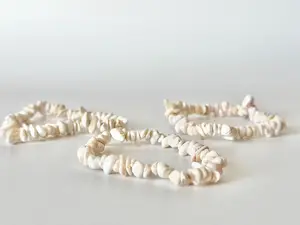 Abalone Shell Chip Bead Bracelet