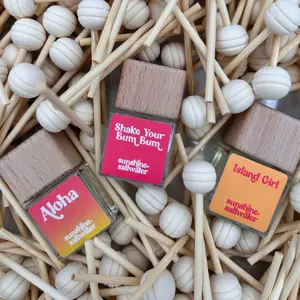 REEDS: Car Diffuser Replacement Reeds