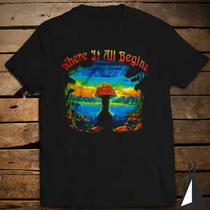 Vintage Rock Music T-Shirt The Allman Brothers Band Where It All Begins