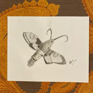 Hummingbird Moth 8 x 10 Charcoal Drawing Artwork