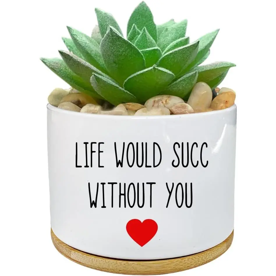 Funny Life Would SUCC Without You Planter Pots, White Ceramic Engraved Mini Succulent Cactus Planter Pot,  Office Windowsill  Pots for  Lover Birthday