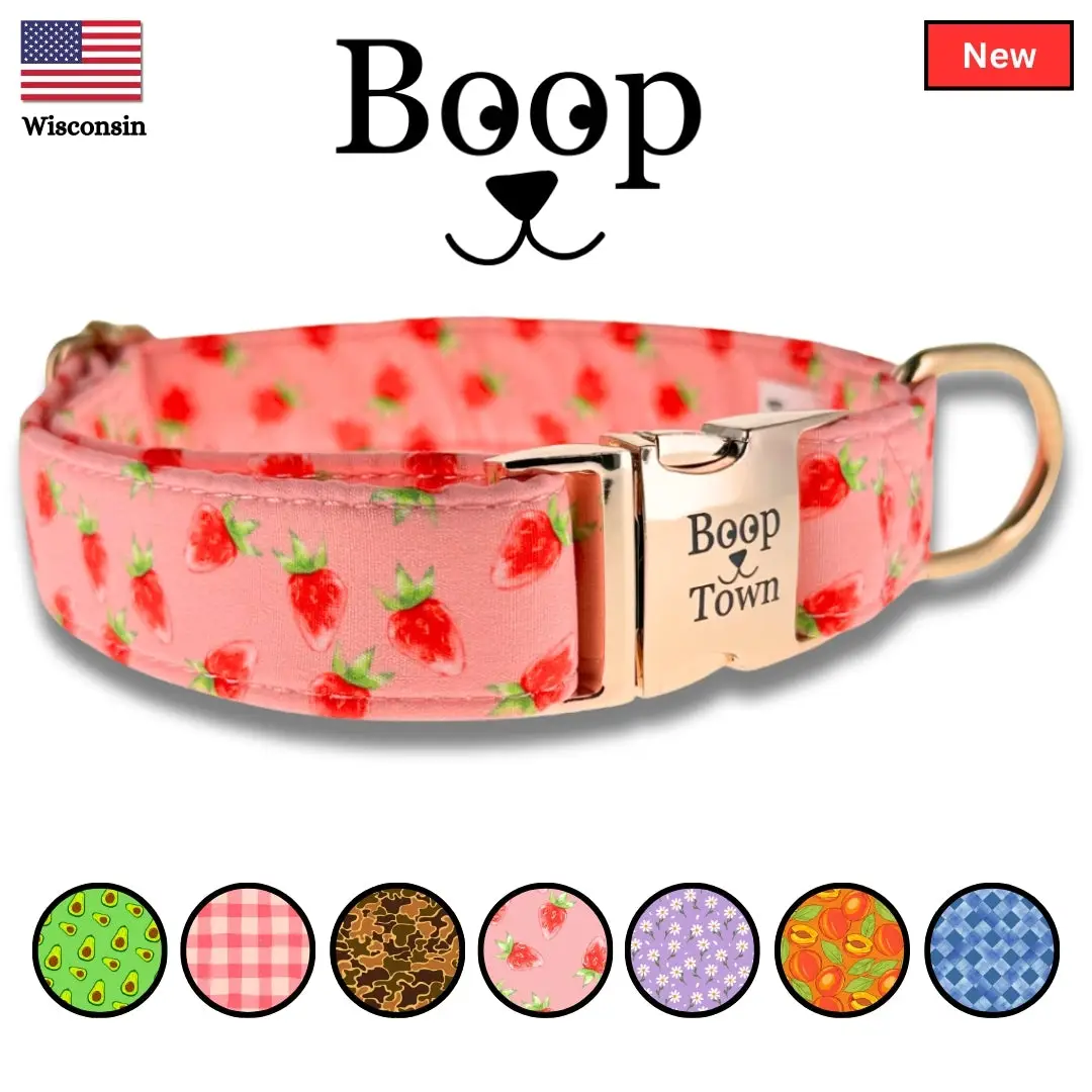 Limited Edition Dog Collar Quick Release Metal Buckle Girls Boys Small Medium Large Pet Products