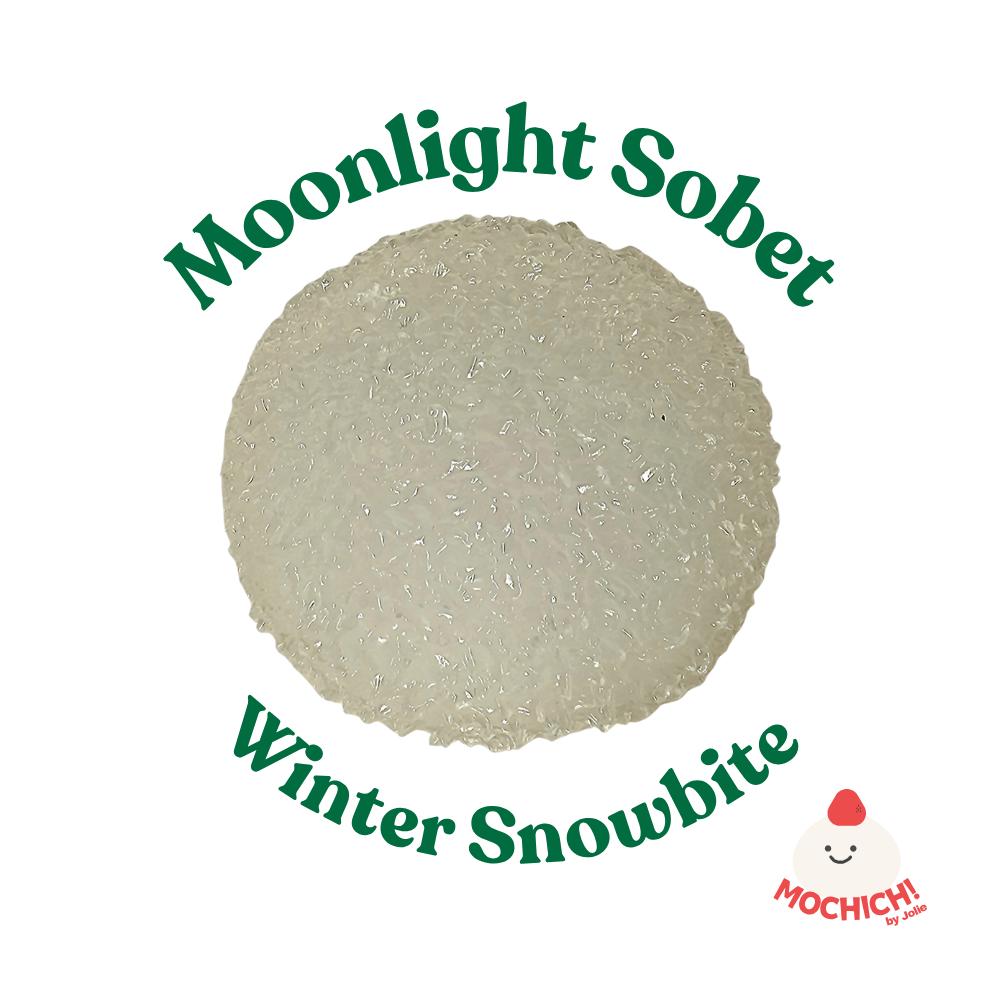 1 Pcs Winter Snowbite Stress Ball – Squeeze Balls Toys for Adults, ASMR Snow Crunch Squeeze Toy for Relaxation & Stress Relief