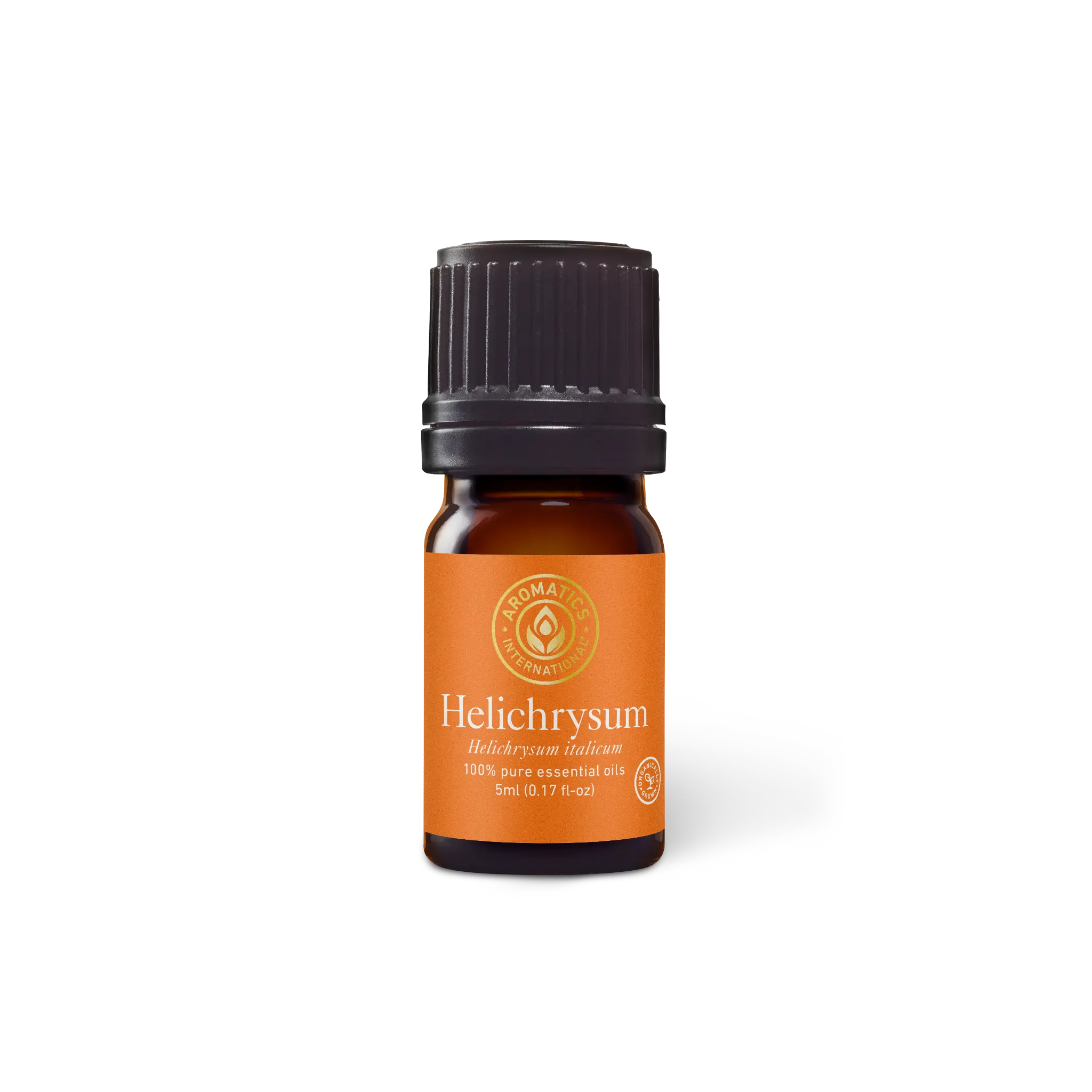 Helichrysum italicum Essential Oil (Croatia) Aromatherapy Wellness Therapeutic Solution