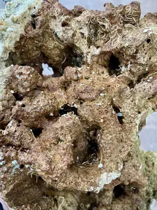 10 Lbs Fiji Premium Live ROCKS for Reef Tanks Aquarium RARE & LIMITED QUANTITY