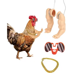 Chicken arms to Put on Chickens,a Funny Chicken arm Toy with Peepers and Necklace,a Set of Pet Prank Role-Playing Costumes