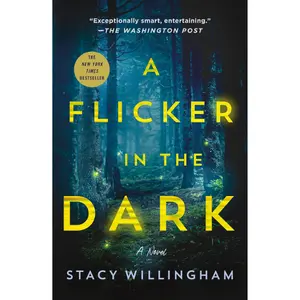 Flicker in the Dark