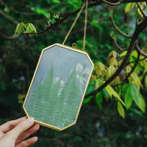 NCYP 4x6inches Small Glass Gold/ Black/ Rose Gold Floating Frame with Chain for Pressed Flower Artwork, Photo, Picture, Home Wall Hanging Decor, Frame Only