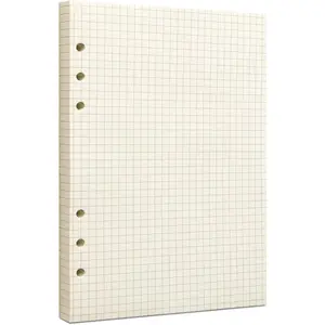 A5 Grid Filler Paper, 6-Hole Punched, 100GSM Graph Rule Paper/Quad Rule Filler Paper/Planner Inserts for Planners, Painting, and  Journals,80 Sheets/160 Pages