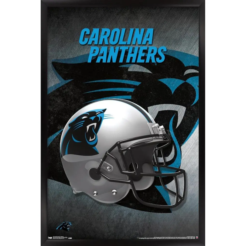 Carolina Panthers Team Helmet Poster