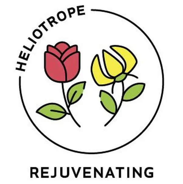 Essential Oil Blend Rejuvenating (Rose Ylang Ylang)