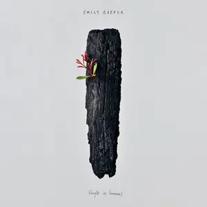 Emily Barker - Fragile as Humans  [COMPACT DISC - CD]