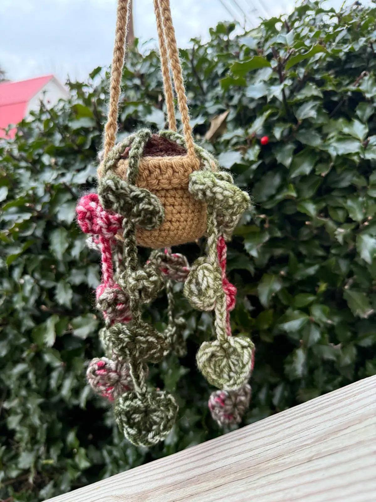 Cute hanging plant - handmade