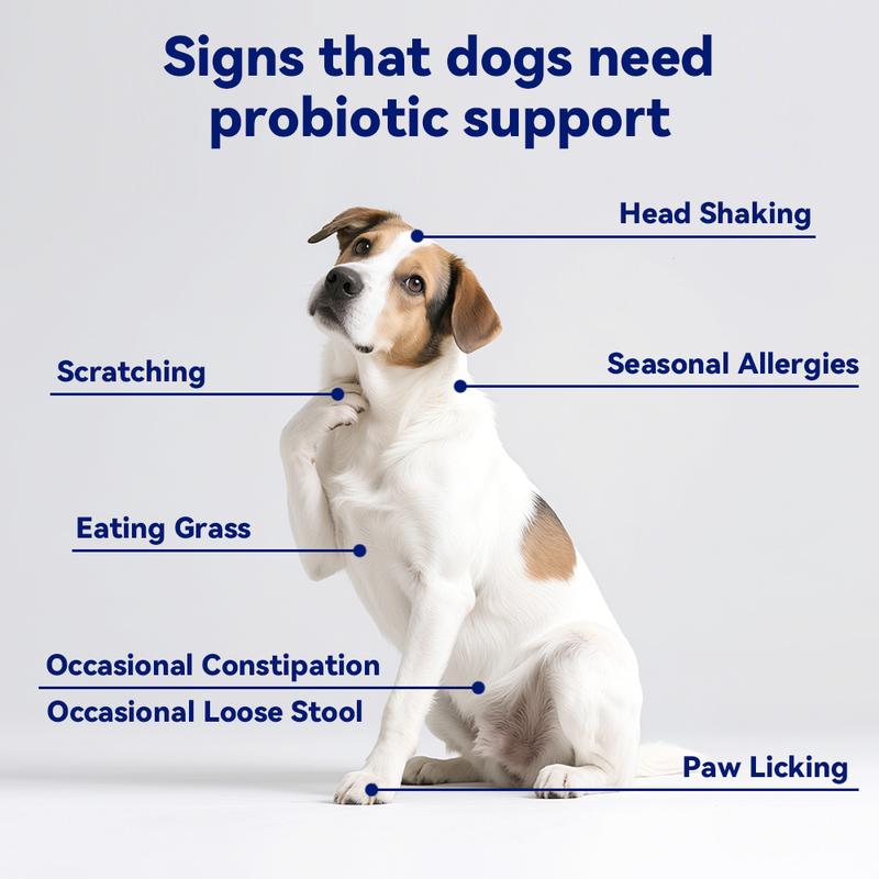 8-in-1 Multivitamin Soft Chews for Dogs – Probiotics, Gut & Immune Support – Natural Pork Flavor