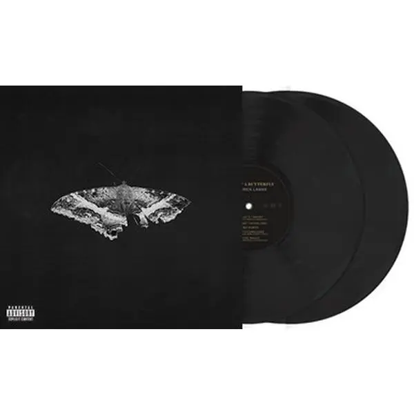 Kendrick lamar love vinyl - TikTok Shop