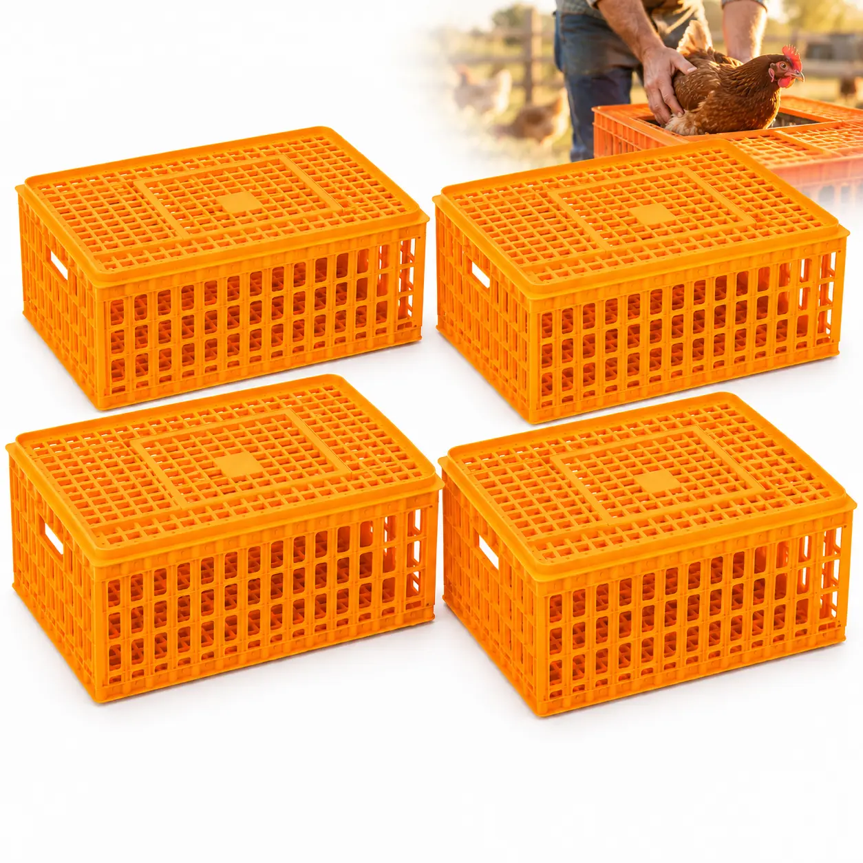 4 Pcs Poultry Carrier Crates 29 x 21 x 13 in Sturdy Ventilated Plastic Transport Boxes for Chickens Ducks Geese Birds Farms Backyard Coops Hatcheries