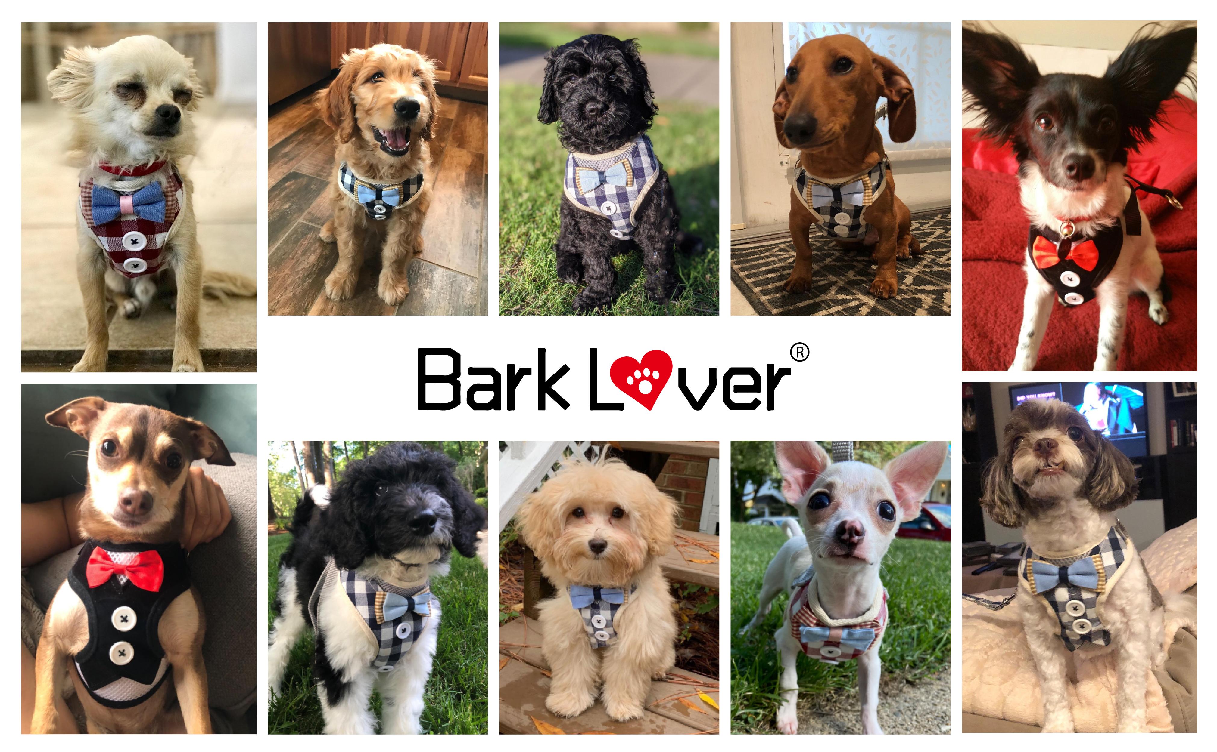 US Flag Dog Harness for Small Dogs No Pull Dog Harness, Step-In Adjustable Puppy Harness, Cute Soft Breathable Dog Vest Harness