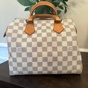 Pre-owned Louis Vuitton Canas Tote Bags Azur Speedy 25 from 2008