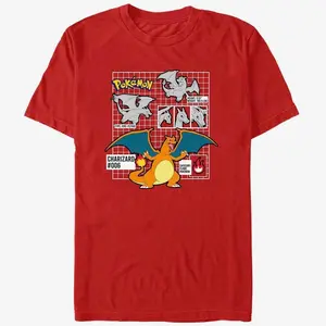 Pokemon Charizard Infographic T-Shirt